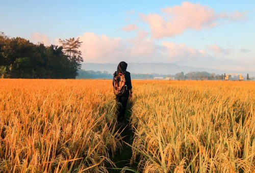 services-01 Services 01